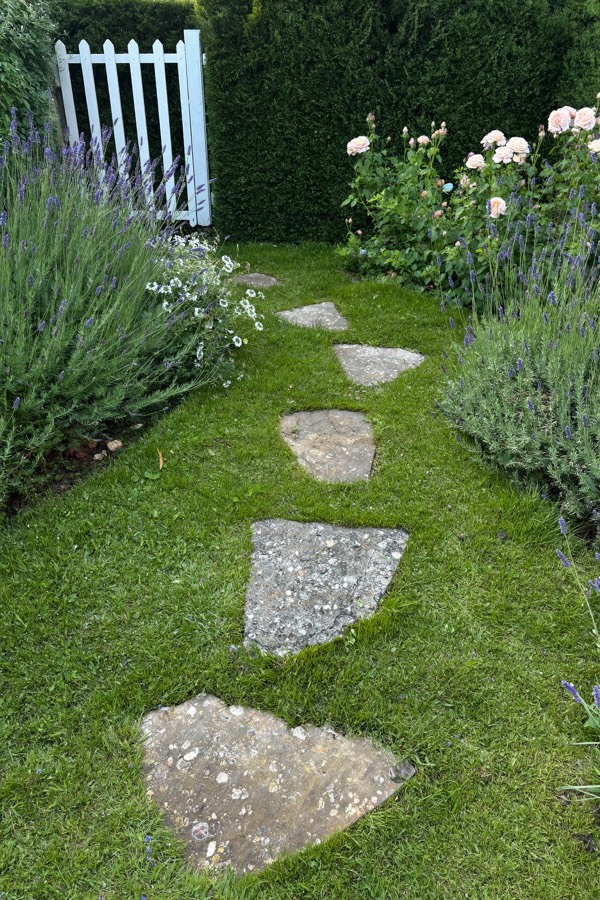 Irregular flat stepping stones set in lawn, leading between lavender and roses to a white garden gate.