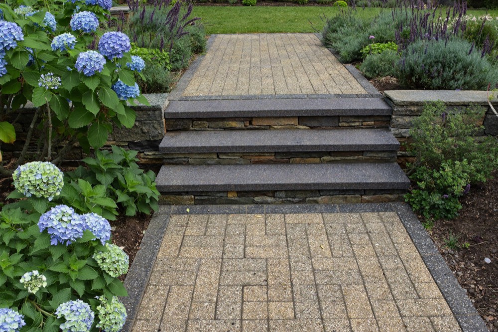 A tan paver walkway with a dark border rising up three dark stone steps between low stacked-stone walls, lined with blue hydrangeas and lavender.
